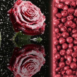 Frosty Rose & Pink Pepper Fragrance Oil